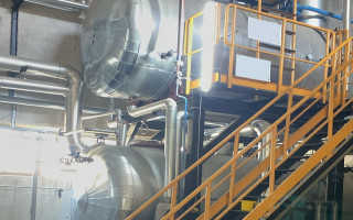 Picture of U75940326