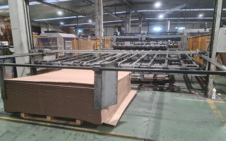 Picture of U76450426