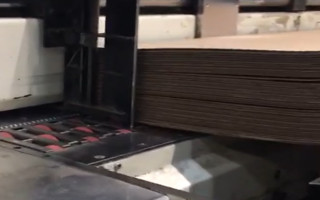 Picture of U75600226