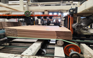 Picture of U75600226